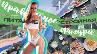 Правильное питание для ПОХУДЕНИЯ ! Гайд по питанию от Fitness Hanna. ПОХУДЕНИЕ БЕЗ ДИЕТ возможно