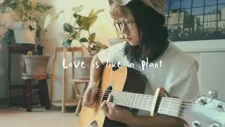 SONi《Love is like a plant》Official Music Video