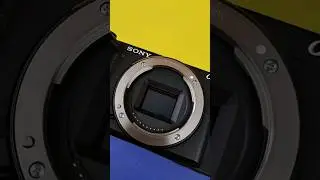 Sony A6400 VS iPhone 15 Pro Max. 