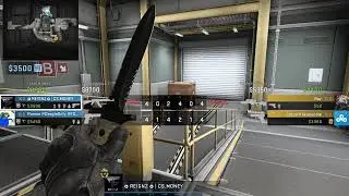 Counter strike  Global Offensive WINGMAN