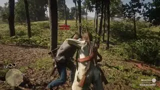 red dead redemption 2 online lasso