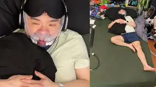 Live 