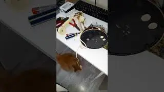 Старый всегда найдёт чем поиграть)) 