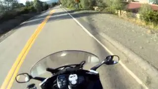 Close Call With a Deer on the Ride Today