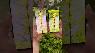 Realme 12 Pro Plus vs Samsung S23 ultra Portrait Testing 