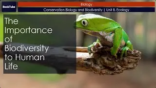 The Importance of Biodiversity to Human Life | Conservation Biology and Biodiversity