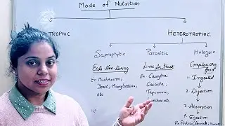 Mode of Nutritions | Autotrophicand Heterotrophic | Saprophytic | Parasitic | Holozoic | Biology