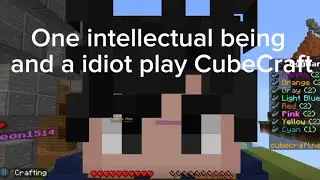 One intellectual being and a idiot play CubeCraft