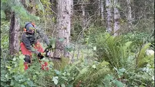 Remove a Couple Trees ... and Clean Up (John Deere 2025R Grapple)