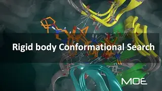 🆕 Rigid body Conformational Search