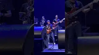 Елена Ваенга и ее музыканты