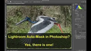 Lightroom Auto-Mask in Photoshop? Yes, there is one!
