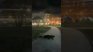 Ахаха разлеглась?!😂 