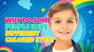 Why Do Some People Have Different Colored Eyes?