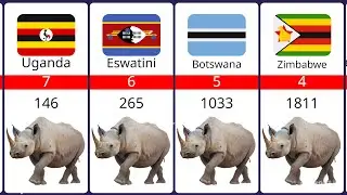 Rhino Population by Country 2024