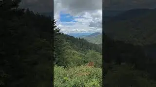 Gatlinburg, TN (1) #shortvideo #shortsvideo #shorts #short