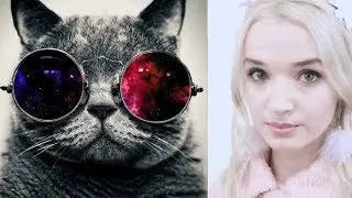 SOY POPPY
