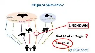 Food Systems Spotlight Series Webinar #1 - Food safety and COVID-19