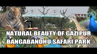 Natural Beauty of Bangabandhu Safari Park
