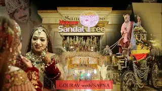 MORA SAAJAN - Kanishk Seth - Gauri Wedding Highlight | PICKLES ANIMATION STUDIOS 2022