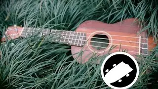 WHAT'S A UKULELE? Draw My Life | Ukulelando