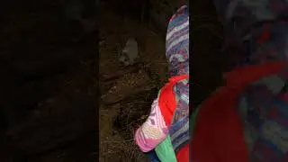 Маша!!! Я Иду тебя кормить 