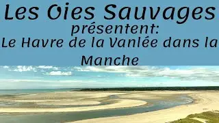 Le Havre de la Vanlée, dans la presqu'île du Cotentin