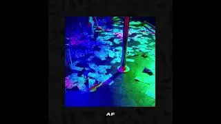 YG x Day Sulan x Tyga - touch it | AF