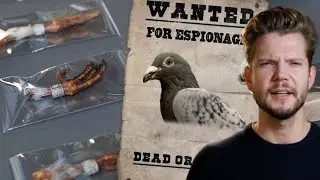 Deze speciale politie-eenheid ging in WOII op duivenjacht