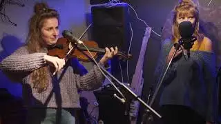 Where the wild people go (live session) - selveya (FKA chloe et les vaillantes)
