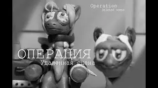 ОПЕРАЦИЯ удаленная сцена ||MLP fan-animation
