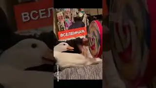 Не пропустите ЗНАК..)))