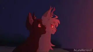 Animation Dump