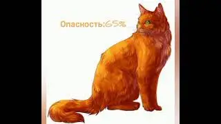 Процент опасности Пестролистой,Огнезвезда,Звездоцапа.