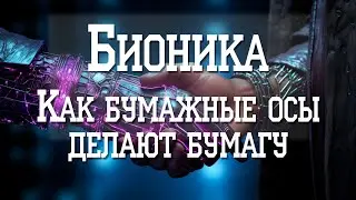 Бионика. Как бумажные осы производят бумагу.