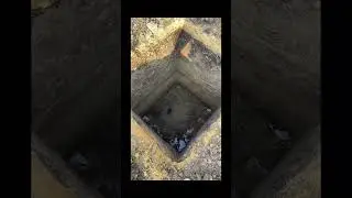 Ничто не даётся легко. 