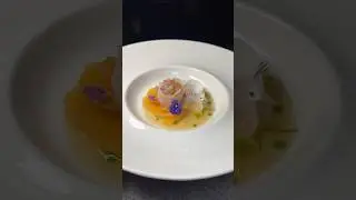 Kingfish Crudo • Mandarin • Fennel • Daikon full recipe in description on my Gronda Profile