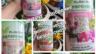 Все цветы быстро пойдут в рост. Испытала новое удобрение, показываю результат🫣😲