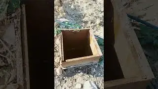 18 августа  дачный влог