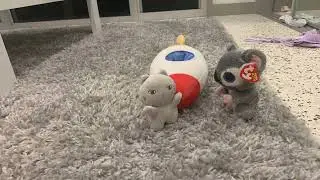 Bobby vs Kiwi (Stopmotion)
