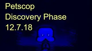 Petscop Discovery Phase 12.7.18