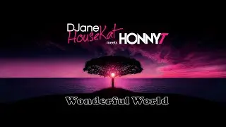 DJane HouseKat meets HonnyT - Wonderful World (Preview)