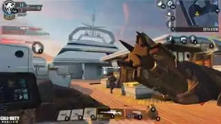 Call Of Duty Mobile - HIJACKED