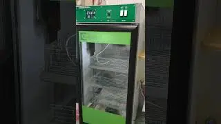 Почему инкубатору нужен инверторный стабилизатор напряжения