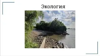 Экология