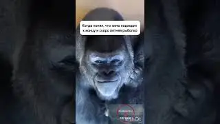 14 марта 2024 г.