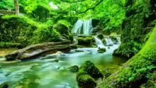 Sons de natureza// sons de água//sons de pássaros #relaxar #dormir