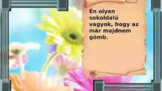 Humoros bölcsességek