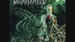 Decapitated- Spheres of Madness (HD)
