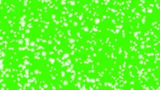 NEW SNOW GREEN SCREEN